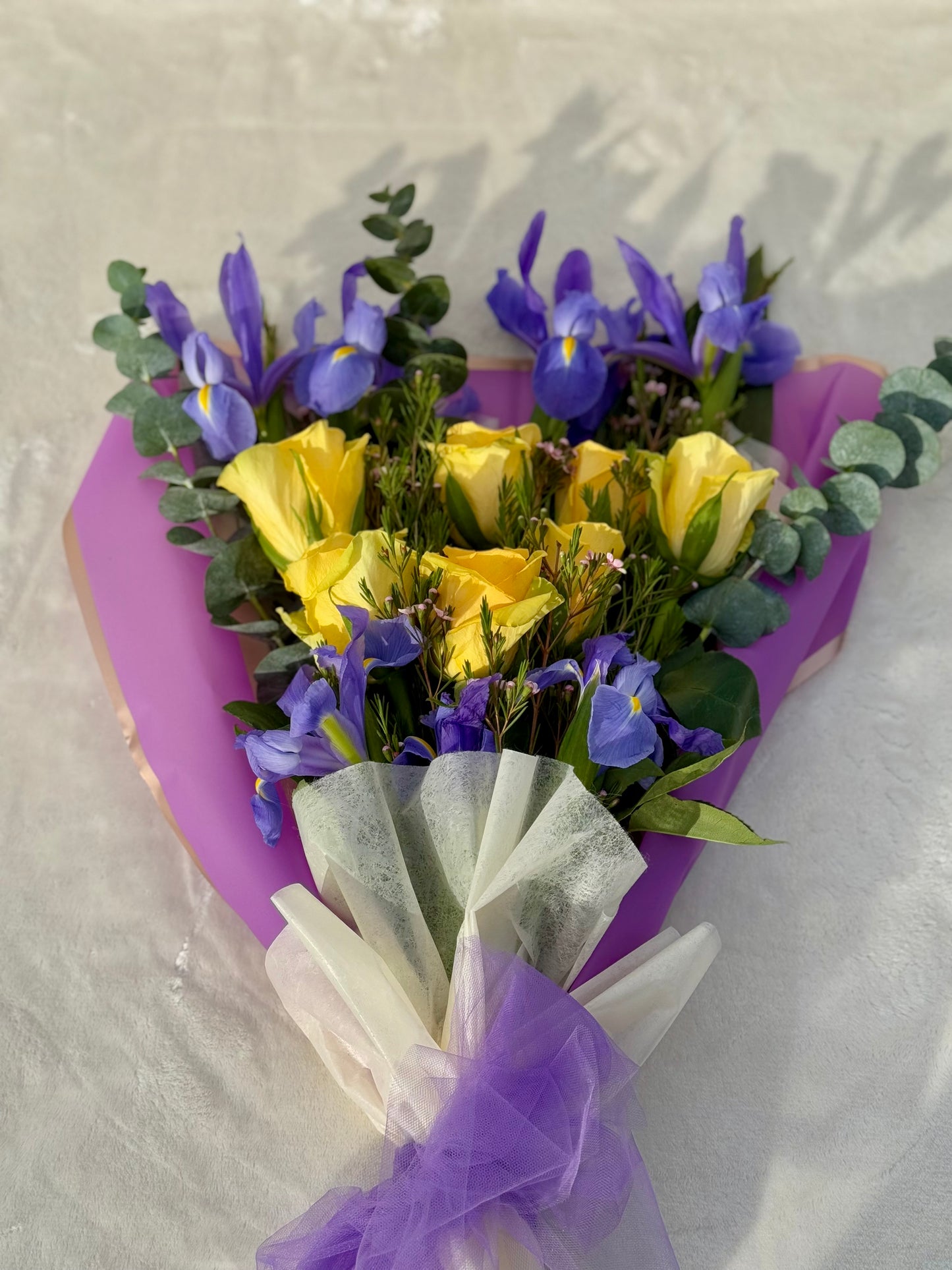 Starlit Iris