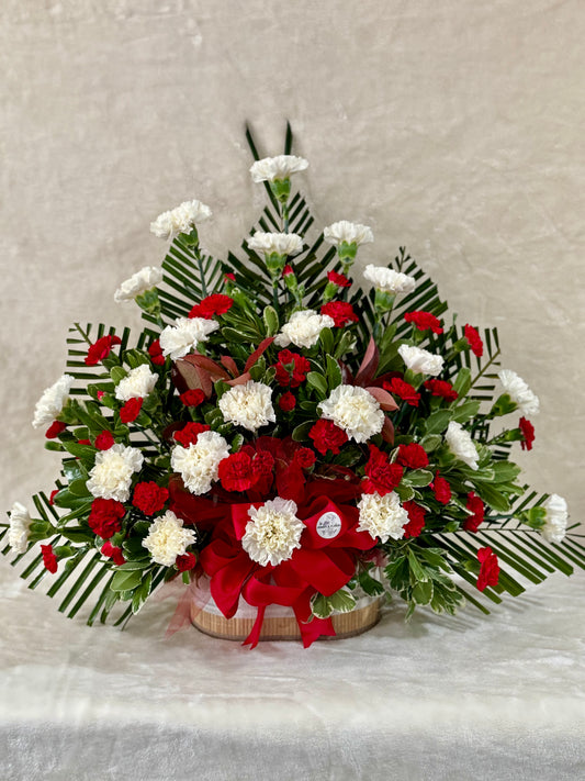 Carnation Dream